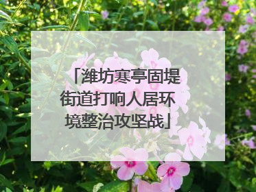 潍坊寒亭固堤街道打响人居环境整治攻坚战