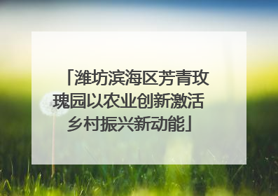 潍坊滨海区芳青玫瑰园以农业创新激活乡村振兴新动能