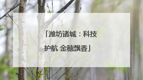 潍坊诸城：科技护航 金穗飘香