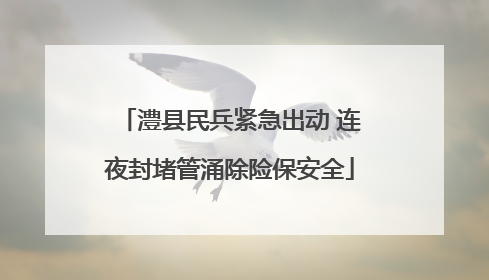 澧县民兵紧急出动 连夜封堵管涌除险保安全