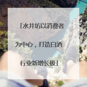 水井坊以消费者为中心，打造白酒行业新增长极