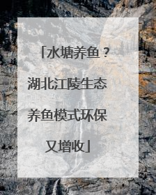 水塘养鱼？湖北江陵生态养鱼模式环保又增收