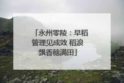 永州零陵：早稻管理见成效 稻浪飘香穗满田