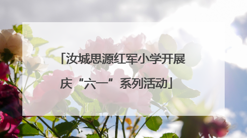 汝城思源红军小学开展庆“六一”系列活动