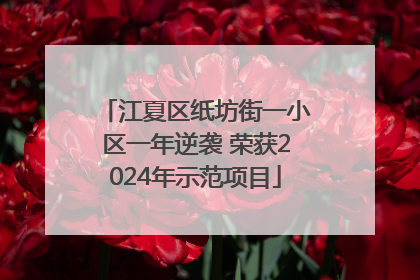 江夏区纸坊街一小区一年逆袭 荣获2024年示范项目