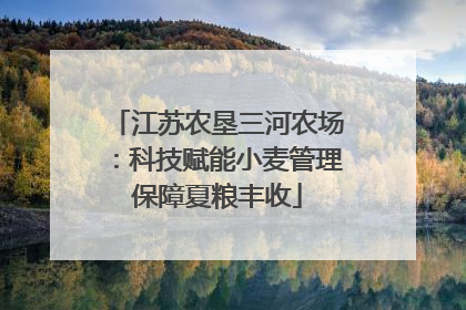 江苏农垦三河农场：科技赋能小麦管理保障夏粮丰收