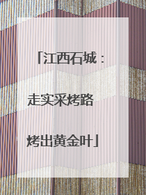 江西石城：走实采烤路 烤出黄金叶