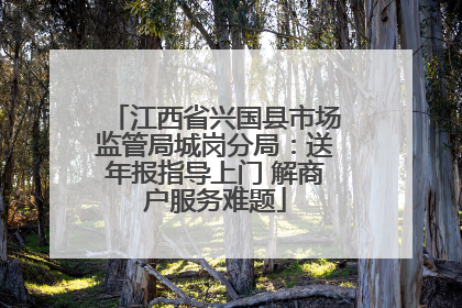 江西省兴国县市场监管局城岗分局：送年报指导上门 解商户服务难题