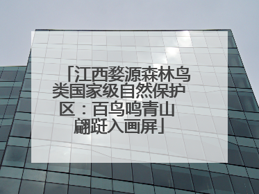 江西婺源森林鸟类国家级自然保护区：百鸟鸣青山 翩跹入画屏