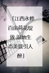 江西永修百亩荷花绽放 湿地生态美景引人醉
