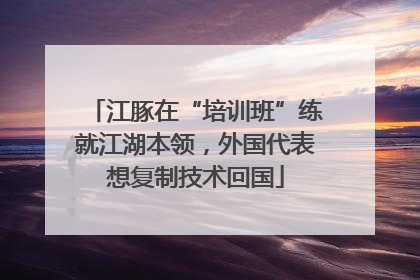 江豚在“培训班”练就江湖本领，外国代表想复制技术回国