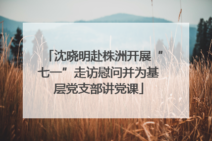 沈晓明赴株洲开展“七一”走访慰问并为基层党支部讲党课