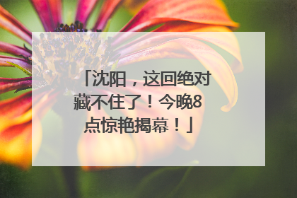 沈阳，这回绝对藏不住了！今晚8点惊艳揭幕！