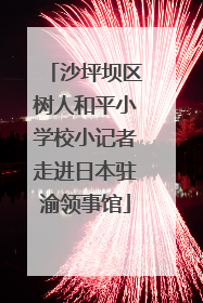 沙坪坝区树人和平小学校小记者走进日本驻渝领事馆