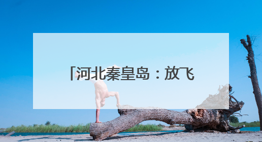 河北秦皇岛：放飞野生鸟类回归自然