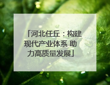 河北任丘：构建现代产业体系 助力高质量发展