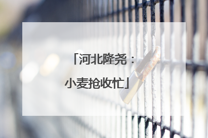 河北隆尧：小麦抢收忙