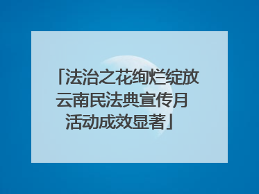 法治之花绚烂绽放 云南民法典宣传月活动成效显著
