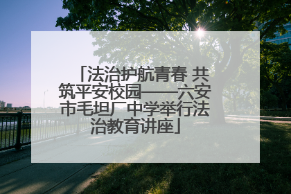 法治护航青春 共筑平安校园——六安市毛坦厂中学举行法治教育讲座