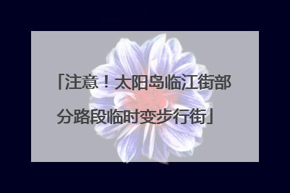 注意！太阳岛临江街部分路段临时变步行街