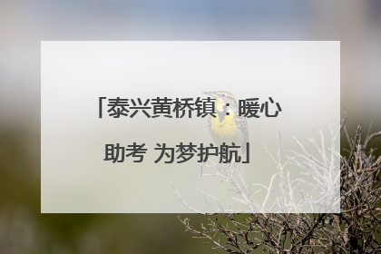 泰兴黄桥镇：暖心助考 为梦护航
