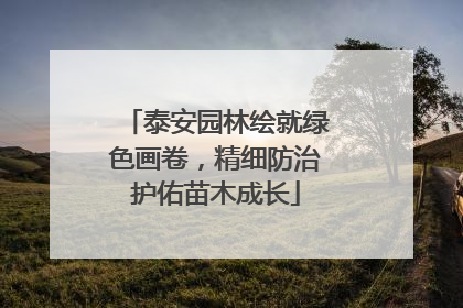 泰安园林绘就绿色画卷，精细防治护佑苗木成长