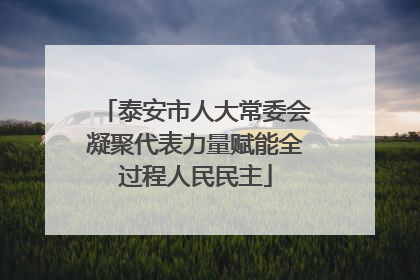 泰安市人大常委会凝聚代表力量赋能全过程人民民主