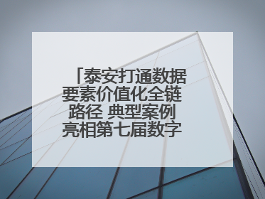泰安打通数据要素价值化全链路径 典型案例亮相第七届数字中国建设峰会