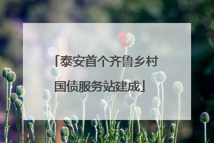 泰安首个齐鲁乡村国债服务站建成