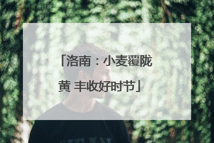 洛南：小麦覆陇黄 丰收好时节