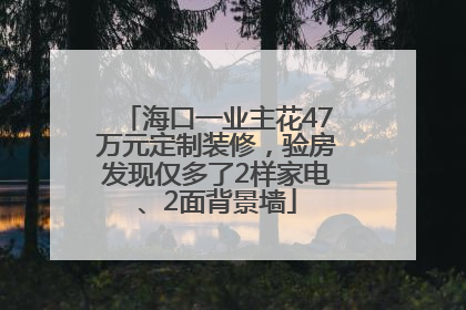 海口一业主花47万元定制装修，验房发现仅多了2样家电、2面背景墙