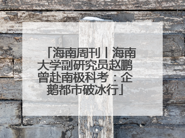 海南周刊丨海南大学副研究员赵鹏曾赴南极科考：企鹅都市破冰行