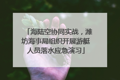 海陆空协同实战，潍坊海事局组织开展游艇人员落水应急演习