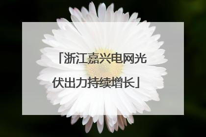 浙江嘉兴电网光伏出力持续增长