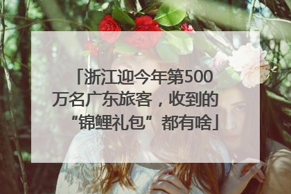 浙江迎今年第500万名广东旅客，收到的“锦鲤礼包”都有啥