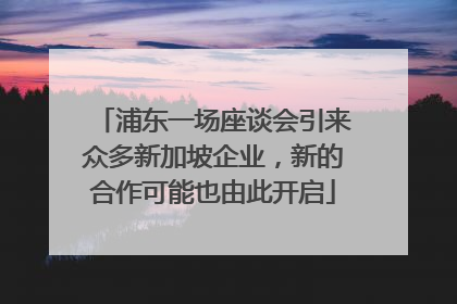浦东一场座谈会引来众多新加坡企业，新的合作可能也由此开启