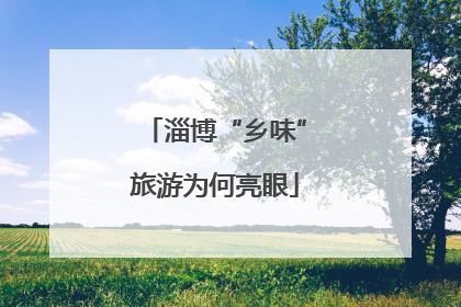 淄博“乡味”旅游为何亮眼