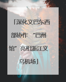 深化义巴东西部协作 “巴州馆”亮相浙江义乌机场