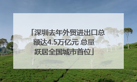 深圳去年外贸进出口总额达4.5万亿元 总量跃居全国城市首位