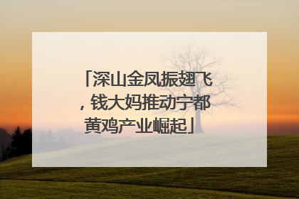 深山金凤振翅飞，钱大妈推动宁都黄鸡产业崛起