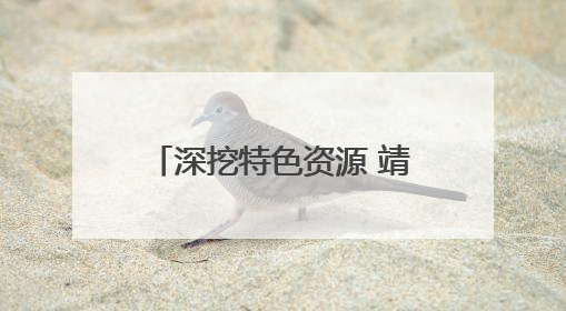 深挖特色资源 靖西探索农文旅融合绘就乡村振兴新图景