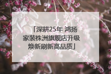 深耕25年 鸿扬家装株洲旗舰店升级焕新刷新高品质