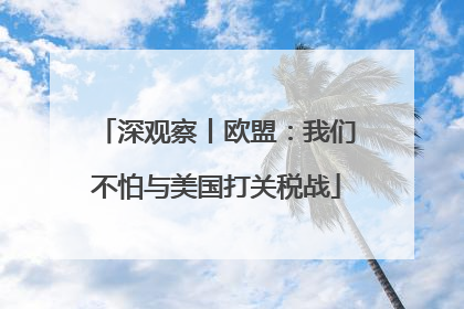 深观察丨欧盟：我们不怕与美国打关税战