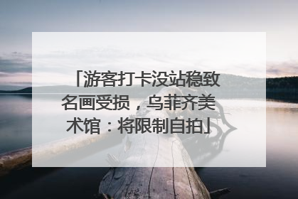 游客打卡没站稳致名画受损，乌菲齐美术馆：将限制自拍