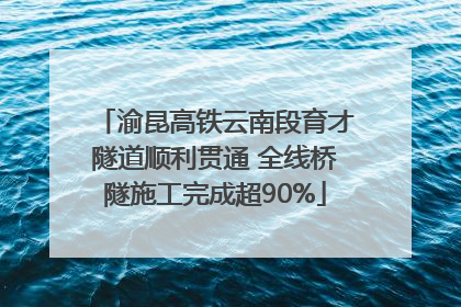 渝昆高铁云南段育才隧道顺利贯通 全线桥隧施工完成超90%