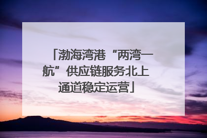 渤海湾港“两湾一航”供应链服务北上通道稳定运营