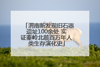 渭南新发现旧石器遗址100余处 实证秦岭北麓百万年人类生存演化史