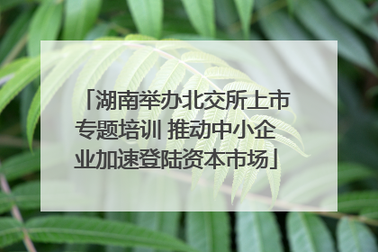 湖南举办北交所上市专题培训 推动中小企业加速登陆资本市场