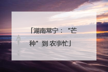 湖南常宁：“芒种”到 农事忙