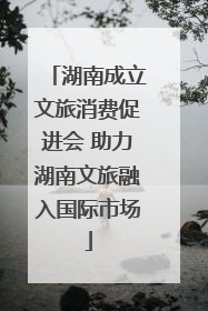湖南成立文旅消费促进会 助力湖南文旅融入国际市场